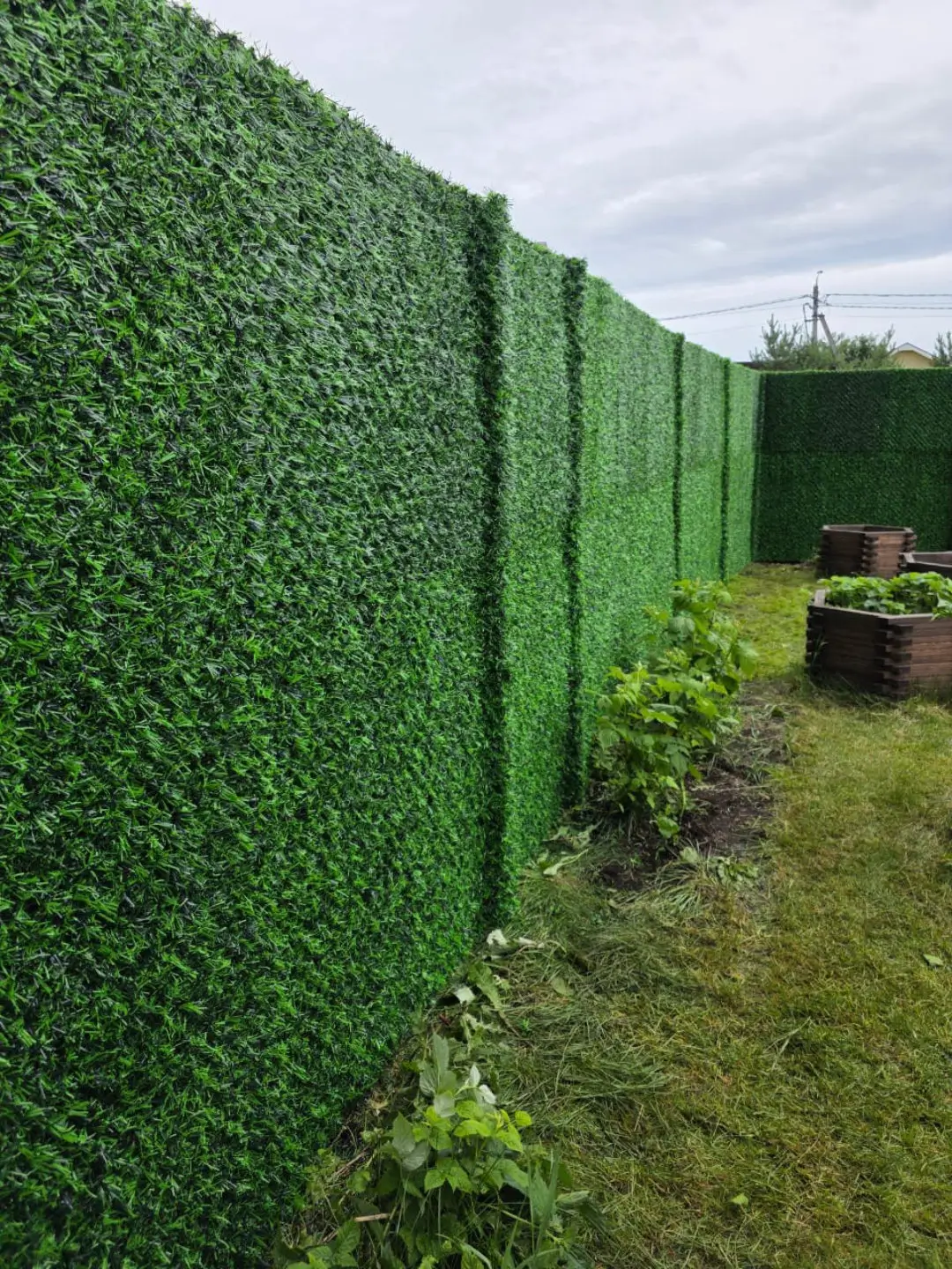 Вечнозеленый забор Grass Fence 37м фото 1 в Новосибирске